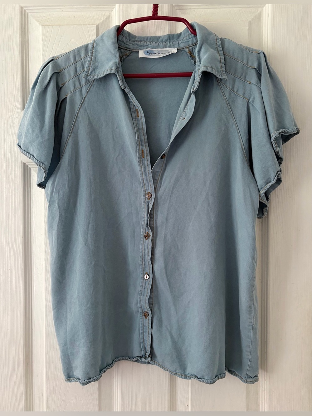 Light Blue Casual Button-Down Shirt
